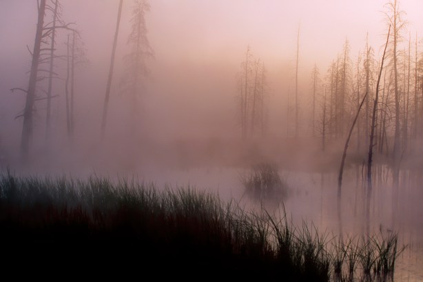 Sunrise in Yellowstone National Park